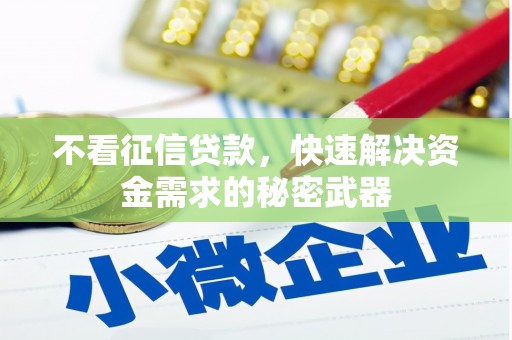 毕节不看征信贷款，快速解决资金需求的秘密武器