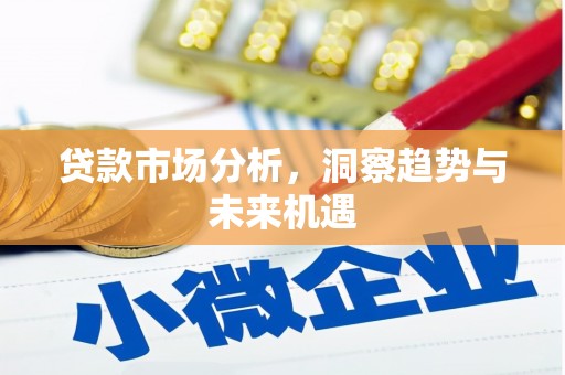 毕节贷款市场分析，洞察趋势与未来机遇