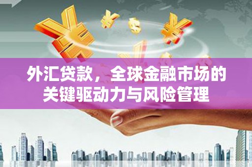 毕节外汇贷款，全球金融市场的关键驱动力与风险管理
