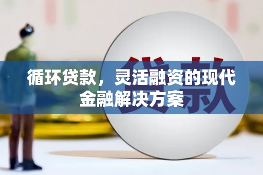 毕节循环贷款，灵活融资的现代金融解决方案