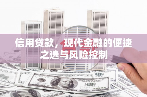 毕节信用贷款，现代金融的便捷之选与风险控制