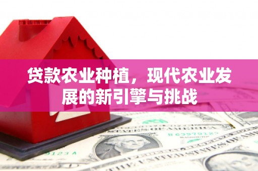 毕节贷款农业种植，现代农业发展的新引擎与挑战