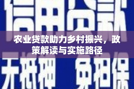 毕节农业贷款助力乡村振兴，政策解读与实施路径