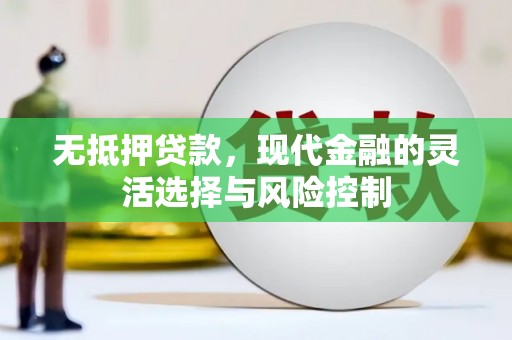 毕节无抵押贷款，现代金融的灵活选择与风险控制