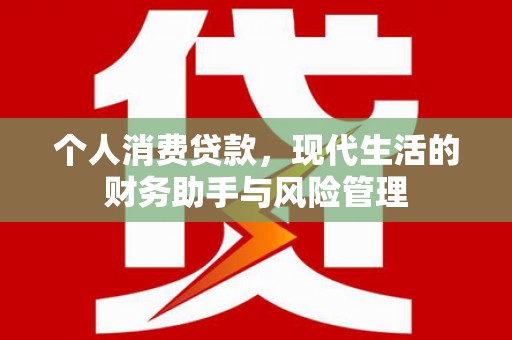 毕节个人消费贷款，现代生活的财务助手与风险管理
