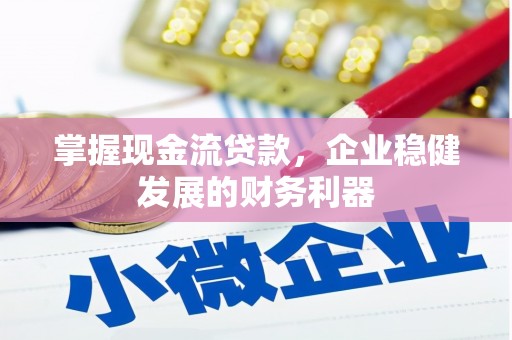 毕节掌握现金流贷款，企业稳健发展的财务利器