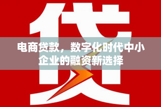 毕节电商贷款，数字化时代中小企业的融资新选择