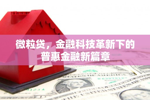 毕节微粒贷，金融科技革新下的普惠金融新篇章