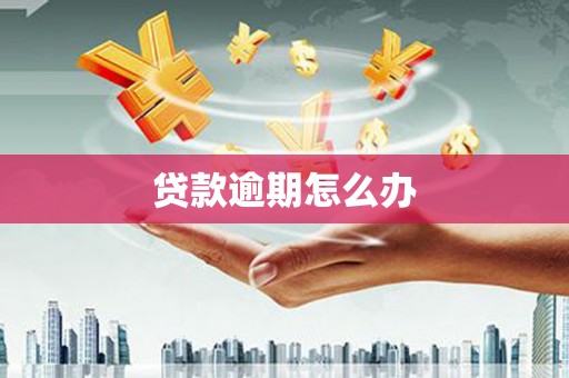 毕节贷款逾期怎么办
