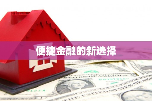 毕节便捷金融的新选择