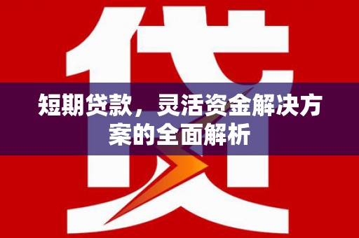 毕节短期贷款，灵活资金解决方案的全面解析