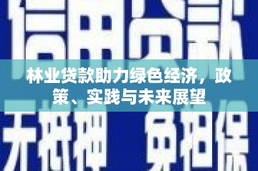 毕节林业贷款助力绿色经济，政策、实践与未来展望