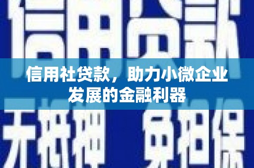 毕节信用社贷款，助力小微企业发展的金融利器