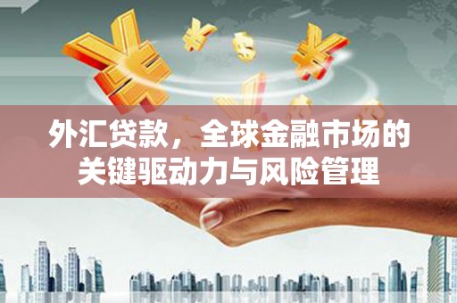 毕节外汇贷款，全球金融市场的关键驱动力与风险管理