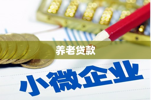 毕节养老贷款
