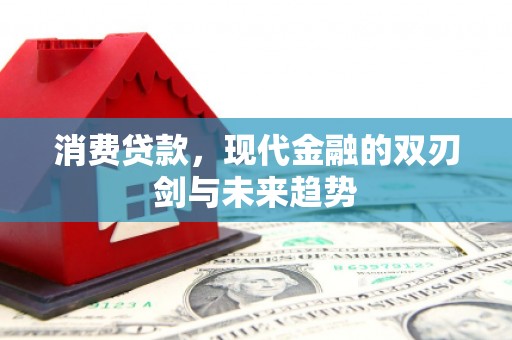 毕节消费贷款，现代金融的双刃剑与未来趋势
