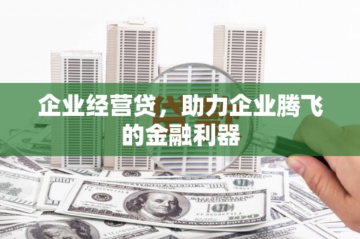 毕节企业经营贷，助力企业腾飞的金融利器