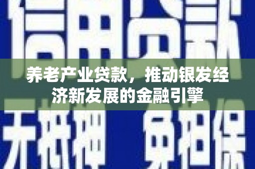 毕节养老产业贷款，推动银发经济新发展的金融引擎