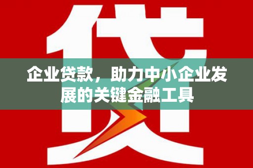毕节企业贷款，助力中小企业发展的关键金融工具