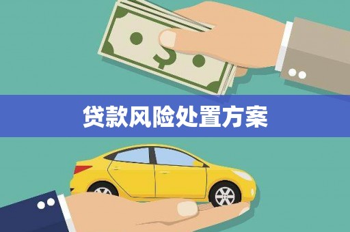 毕节贷款风险处置方案