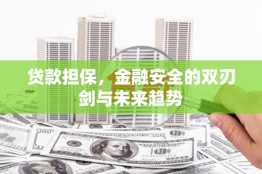 毕节贷款担保，金融安全的双刃剑与未来趋势
