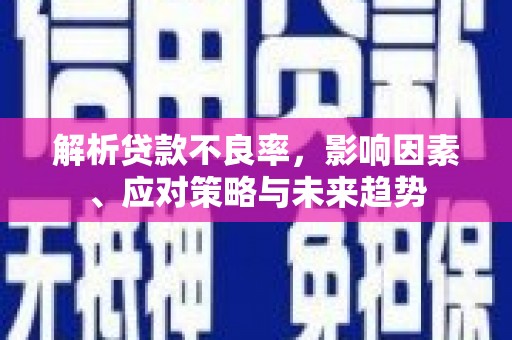 毕节解析贷款不良率，影响因素、应对策略与未来趋势