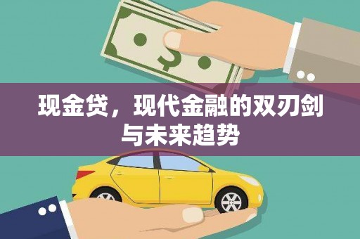 毕节现金贷，现代金融的双刃剑与未来趋势