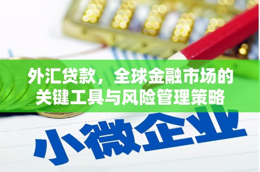 毕节外汇贷款，全球金融市场的关键工具与风险管理策略