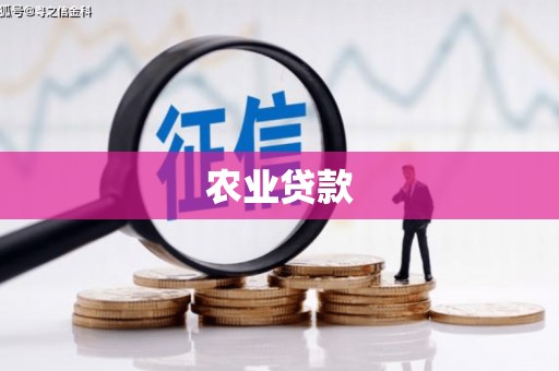 毕节农业贷款