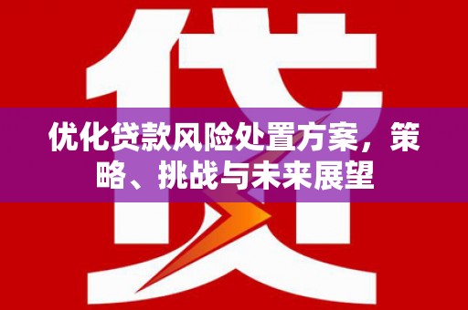 毕节优化贷款风险处置方案，策略、挑战与未来展望