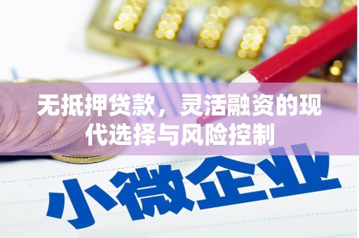 毕节无抵押贷款，灵活融资的现代选择与风险控制