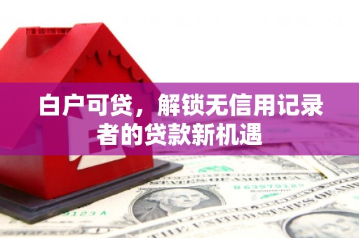 毕节白户可贷，解锁无信用记录者的贷款新机遇