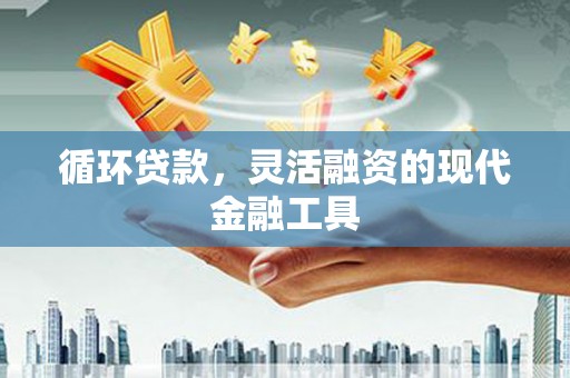 毕节循环贷款，灵活融资的现代金融工具