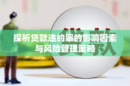 毕节探析贷款违约率的影响因素与风险管理策略