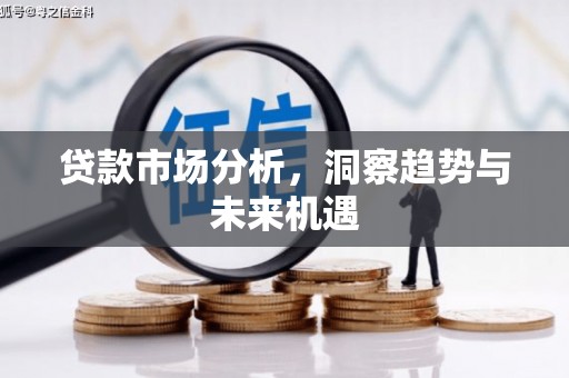 毕节贷款市场分析，洞察趋势与未来机遇