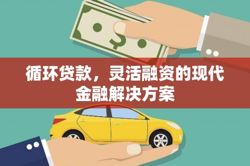 毕节循环贷款，灵活融资的现代金融解决方案