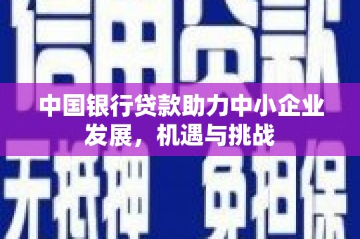 毕节中国银行贷款助力中小企业发展，机遇与挑战