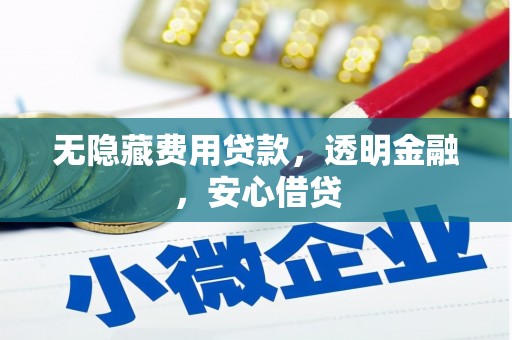 毕节无隐藏费用贷款，透明金融，安心借贷