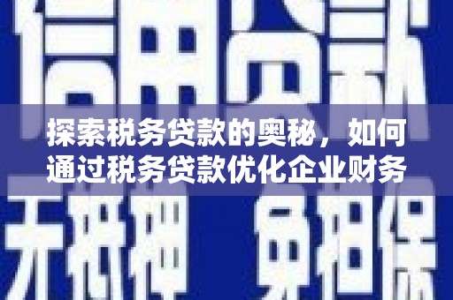 毕节探索税务贷款的奥秘，如何通过税务贷款优化企业财务