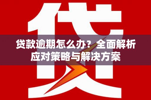 毕节贷款逾期怎么办？全面解析应对策略与解决方案