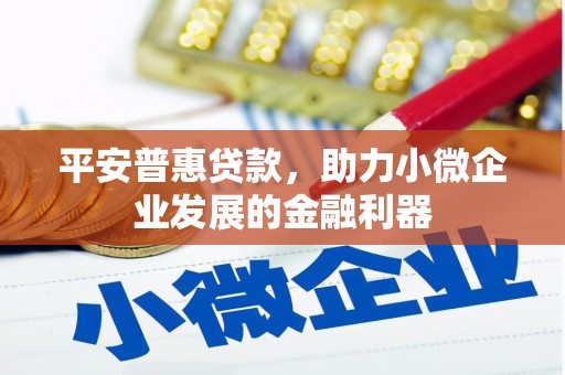 毕节平安普惠贷款，助力小微企业发展的金融利器