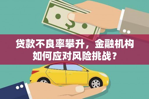 毕节贷款不良率攀升，金融机构如何应对风险挑战？