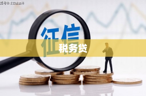 毕节税务贷