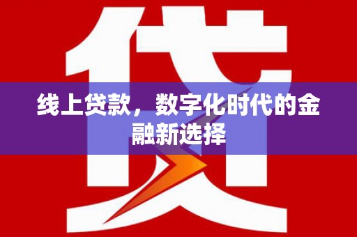 毕节线上贷款，数字化时代的金融新选择