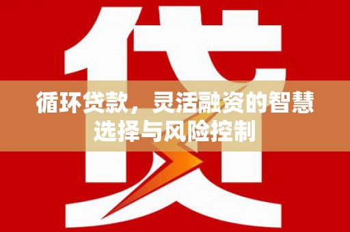毕节循环贷款，灵活融资的智慧选择与风险控制