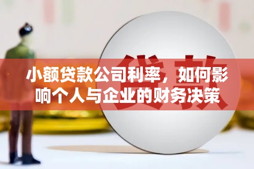 毕节小额贷款公司利率，如何影响个人与企业的财务决策