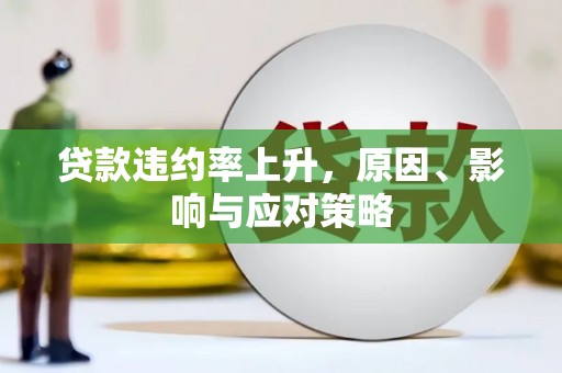 毕节贷款违约率上升，原因、影响与应对策略
