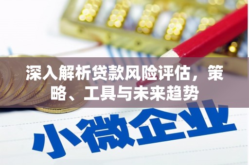 毕节深入解析贷款风险评估，策略、工具与未来趋势