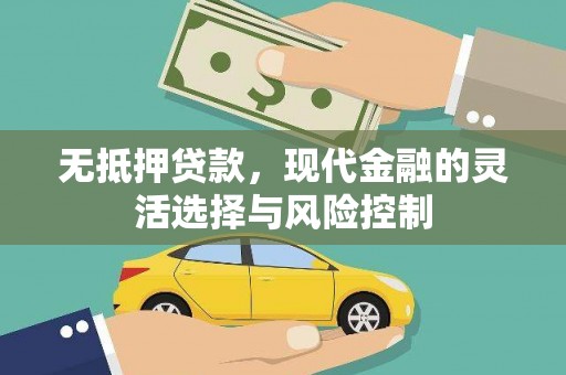 毕节无抵押贷款，现代金融的灵活选择与风险控制