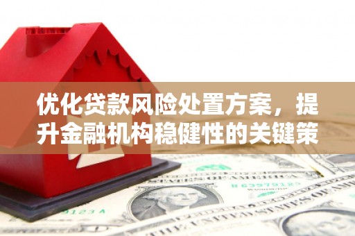 毕节优化贷款风险处置方案，提升金融机构稳健性的关键策略